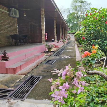 Balai Serama Guesthouse Kuala Tahan Extérieur photo