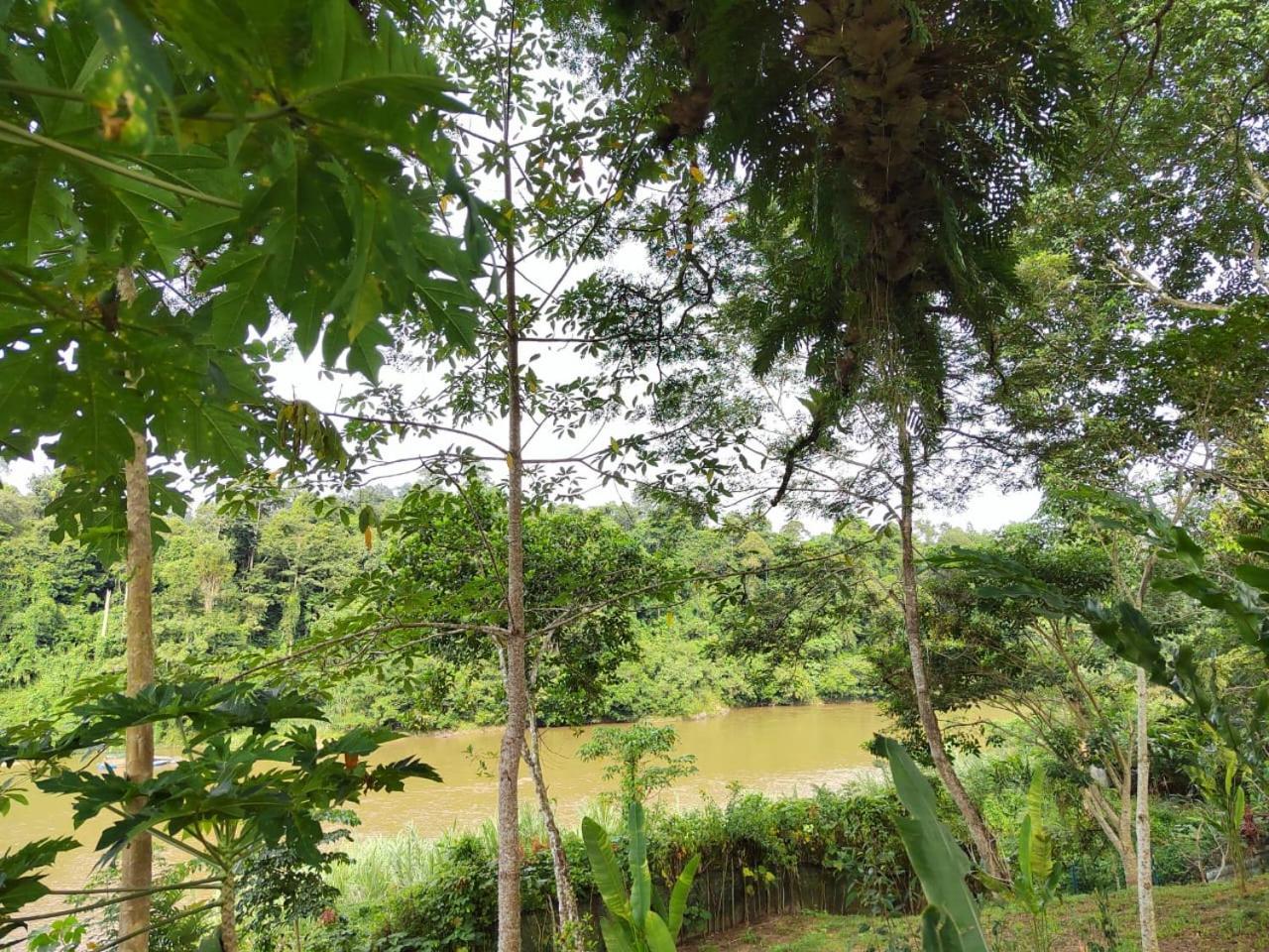 Balai Serama Guesthouse Kuala Tahan Extérieur photo