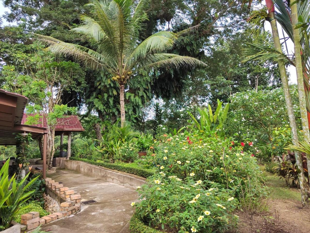 Balai Serama Guesthouse Kuala Tahan Extérieur photo