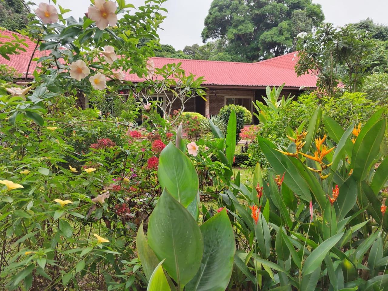Balai Serama Guesthouse Kuala Tahan Extérieur photo