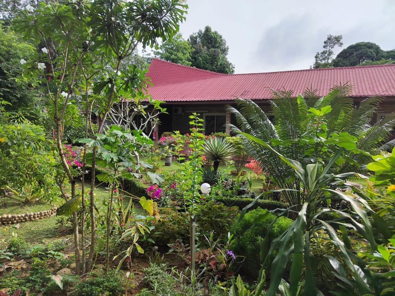 Balai Serama Guesthouse Kuala Tahan Extérieur photo