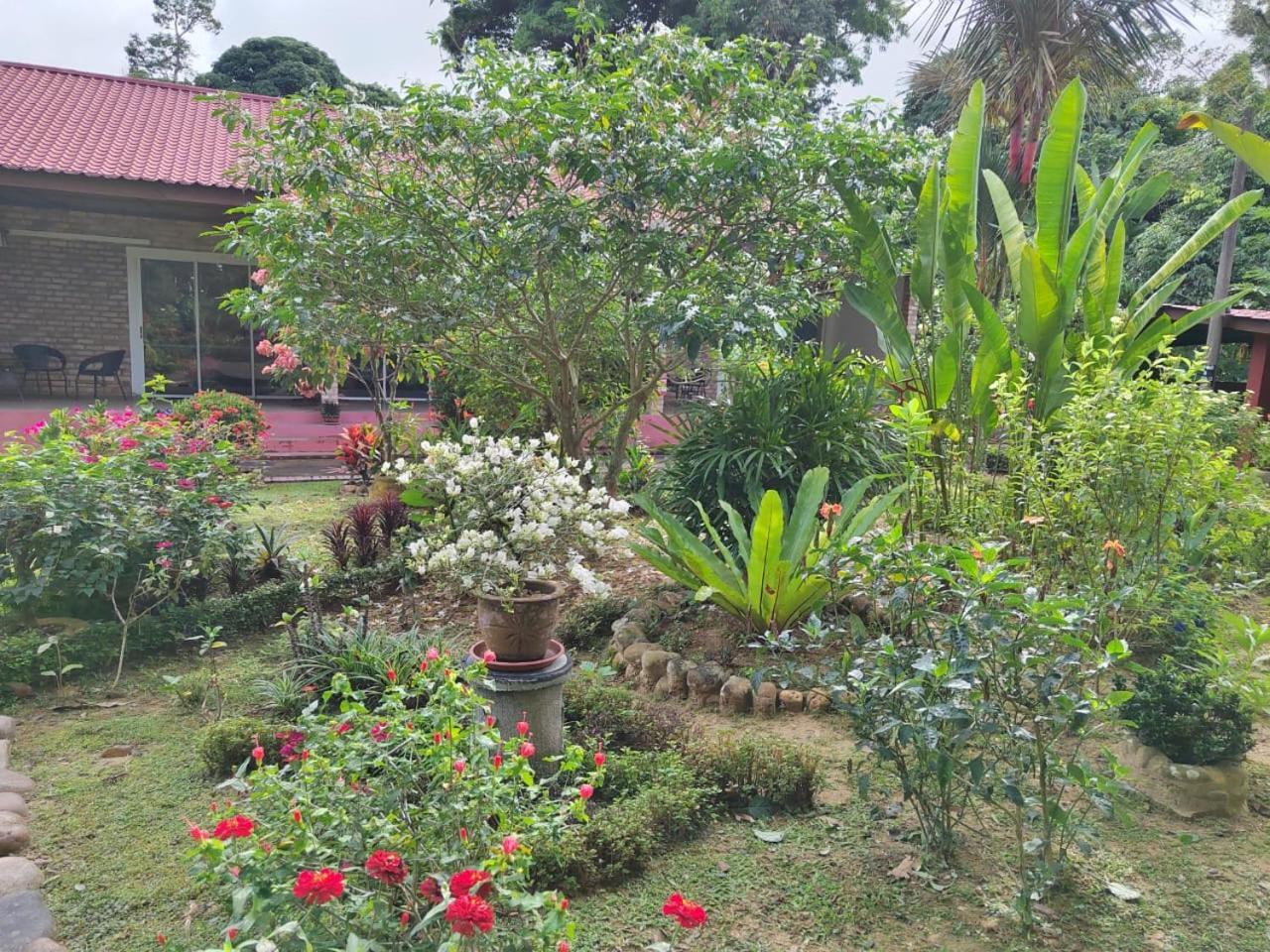 Balai Serama Guesthouse Kuala Tahan Extérieur photo