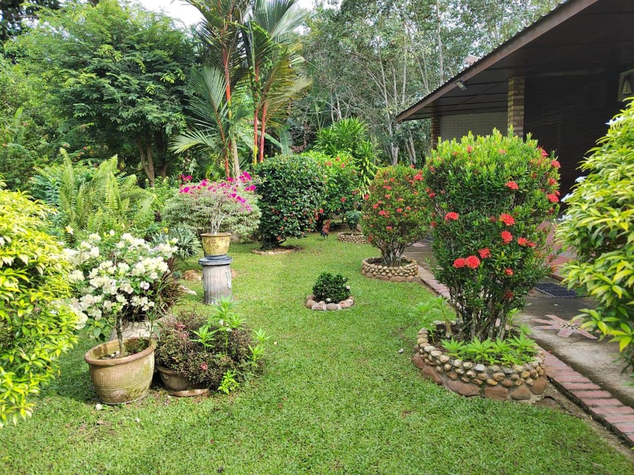 Balai Serama Guesthouse Kuala Tahan Extérieur photo
