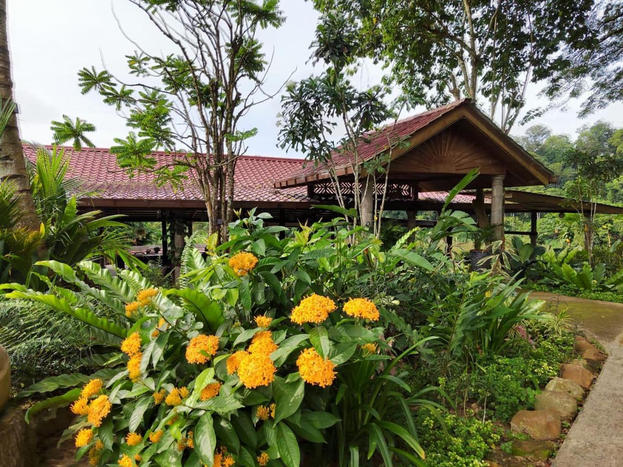 Balai Serama Guesthouse Kuala Tahan Extérieur photo